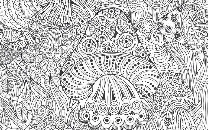 detailed-illustrations